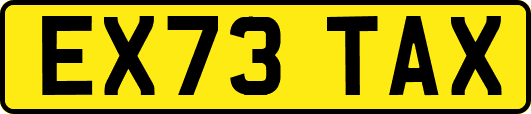 EX73TAX