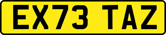 EX73TAZ