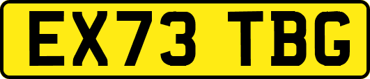 EX73TBG