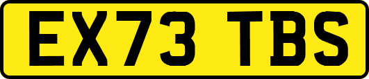 EX73TBS