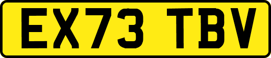 EX73TBV