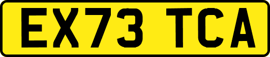 EX73TCA