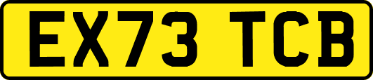 EX73TCB