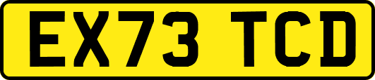 EX73TCD