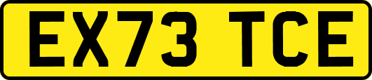 EX73TCE