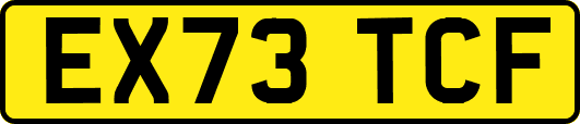 EX73TCF