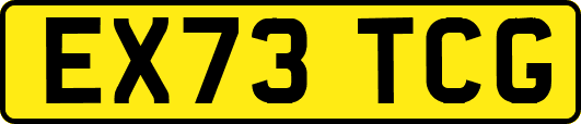 EX73TCG