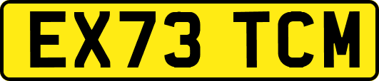 EX73TCM