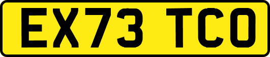 EX73TCO