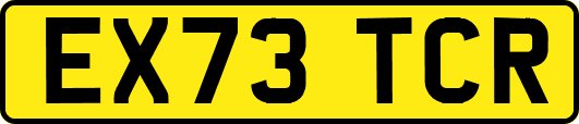 EX73TCR