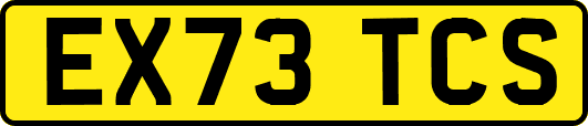 EX73TCS