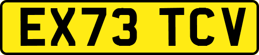 EX73TCV
