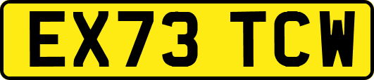EX73TCW