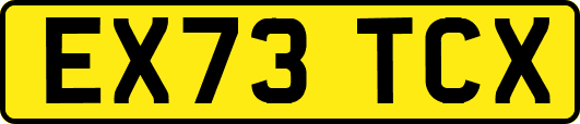 EX73TCX