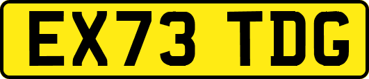 EX73TDG
