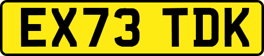 EX73TDK