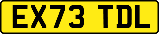 EX73TDL