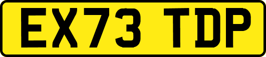 EX73TDP