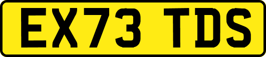 EX73TDS