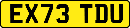 EX73TDU