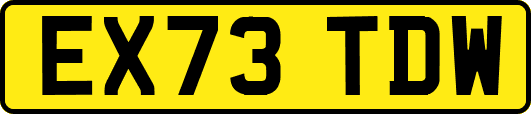 EX73TDW