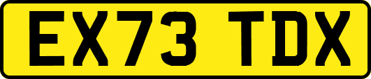 EX73TDX