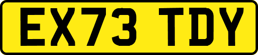 EX73TDY