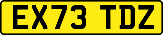EX73TDZ