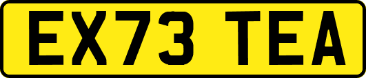EX73TEA