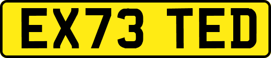 EX73TED