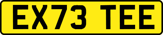 EX73TEE
