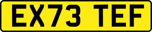 EX73TEF