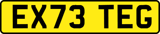 EX73TEG