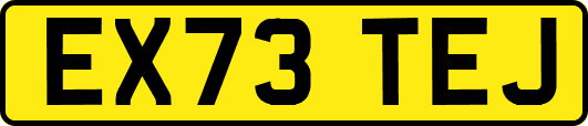 EX73TEJ