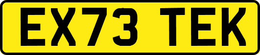 EX73TEK