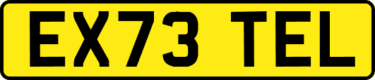 EX73TEL