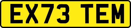EX73TEM