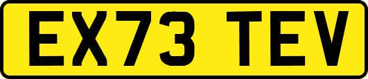 EX73TEV