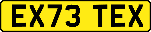 EX73TEX