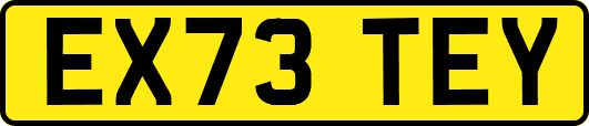 EX73TEY