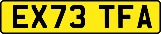 EX73TFA