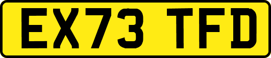 EX73TFD