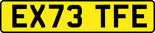 EX73TFE