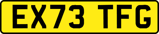 EX73TFG