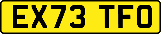 EX73TFO