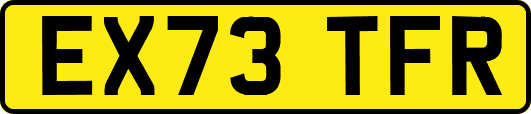 EX73TFR
