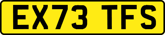 EX73TFS
