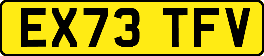 EX73TFV