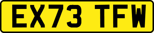 EX73TFW