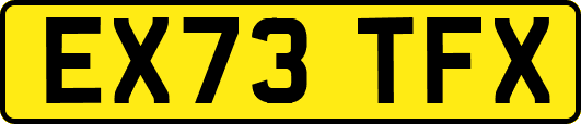 EX73TFX